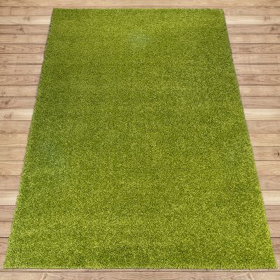 shaggy029A15D0E00-D940-E350-22CB-B21C5BD8A4A9.jpg